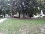 20190723_Vijenac Ivana Meštrovića_sl3~1.jpg